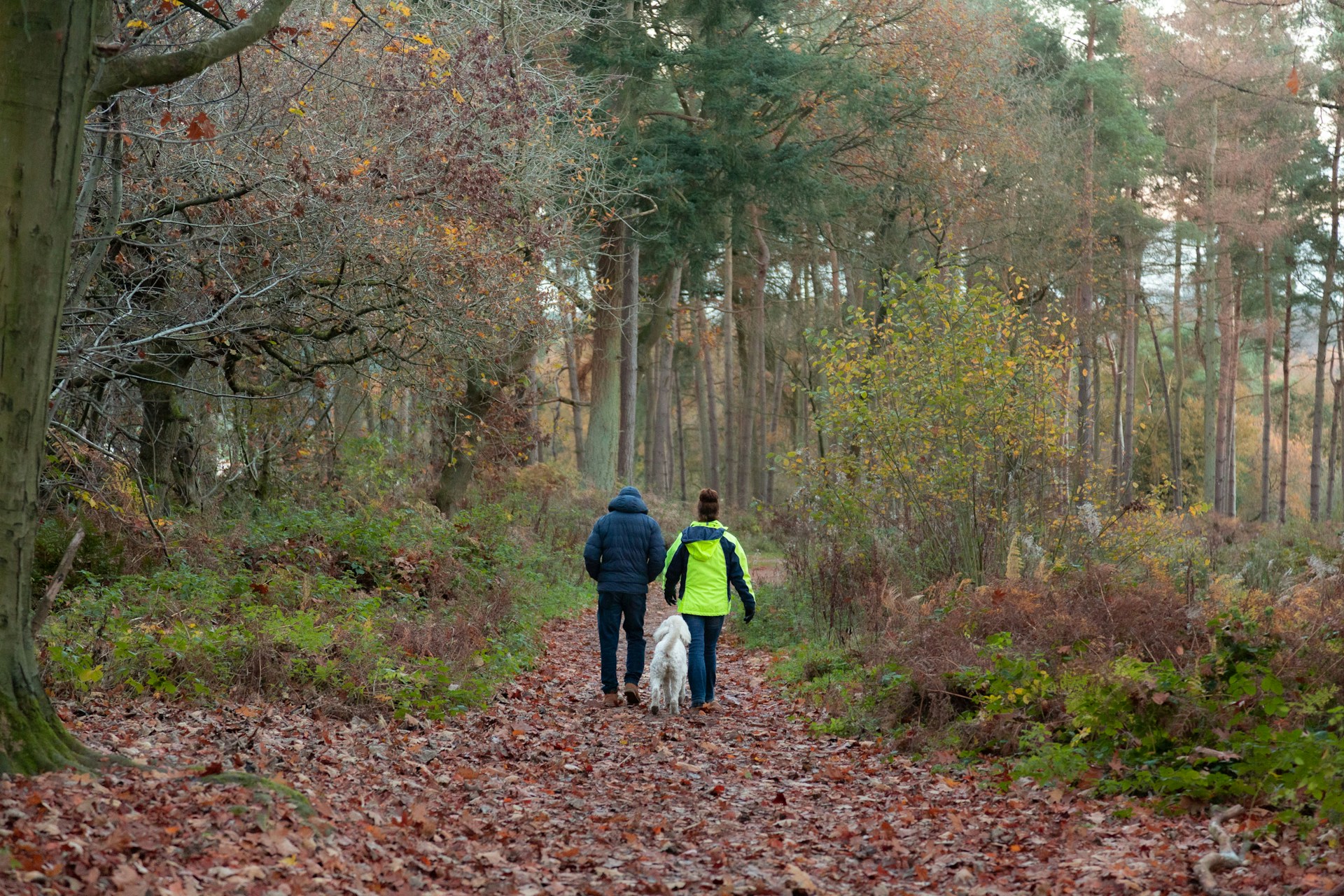 Le trail en couple